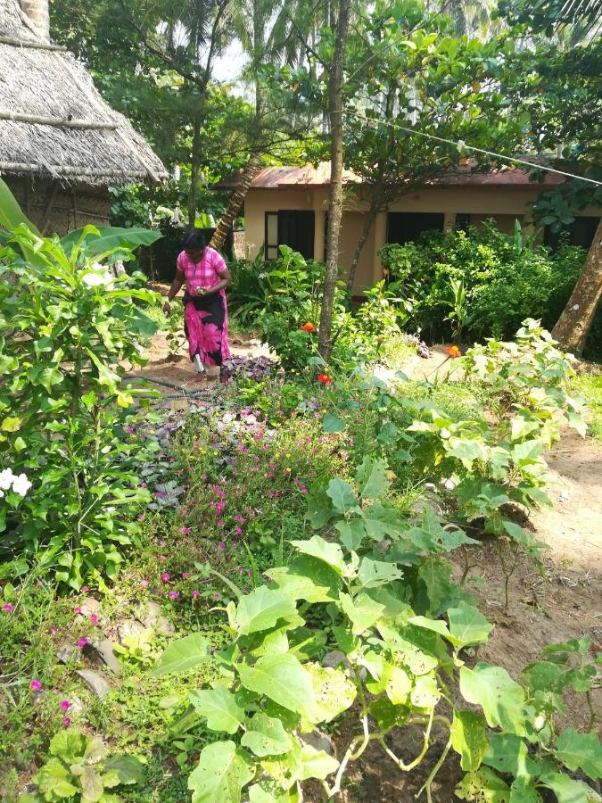 Double Room Garden View
