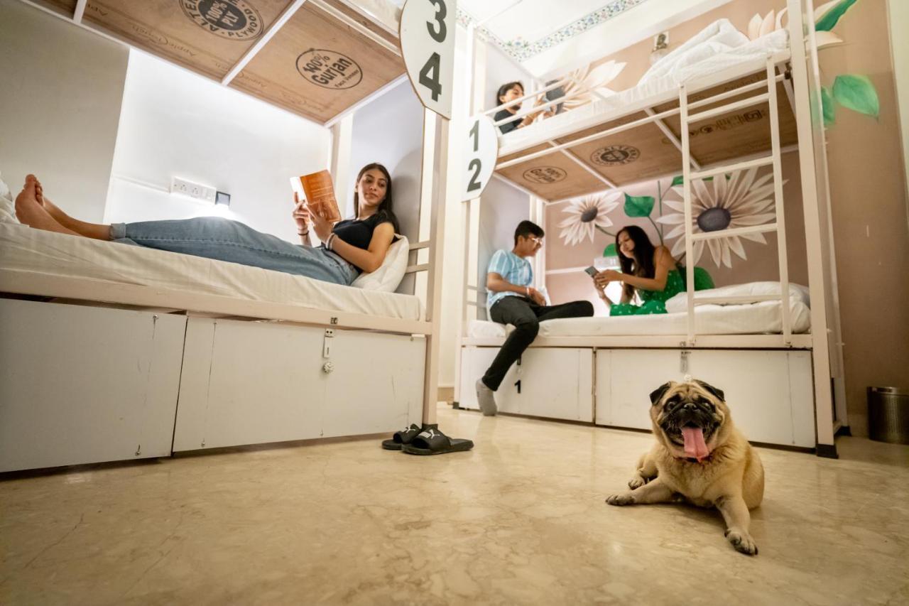 Bed 4-Bed Mixed Dormitory Room