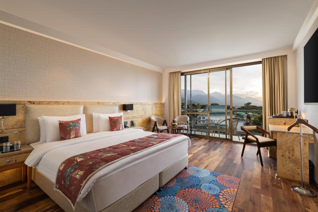 Large Double Room,1318843339:JPEG