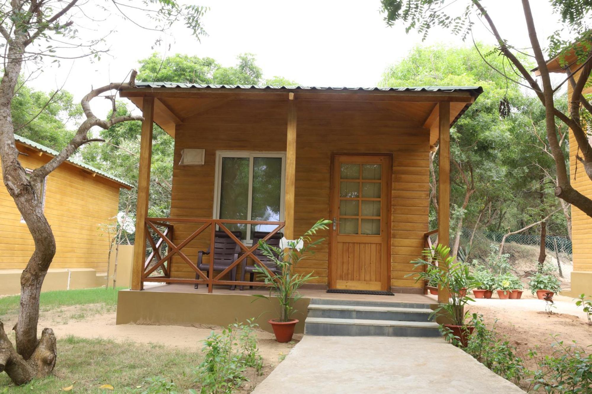 Forest Deluxe Cottage