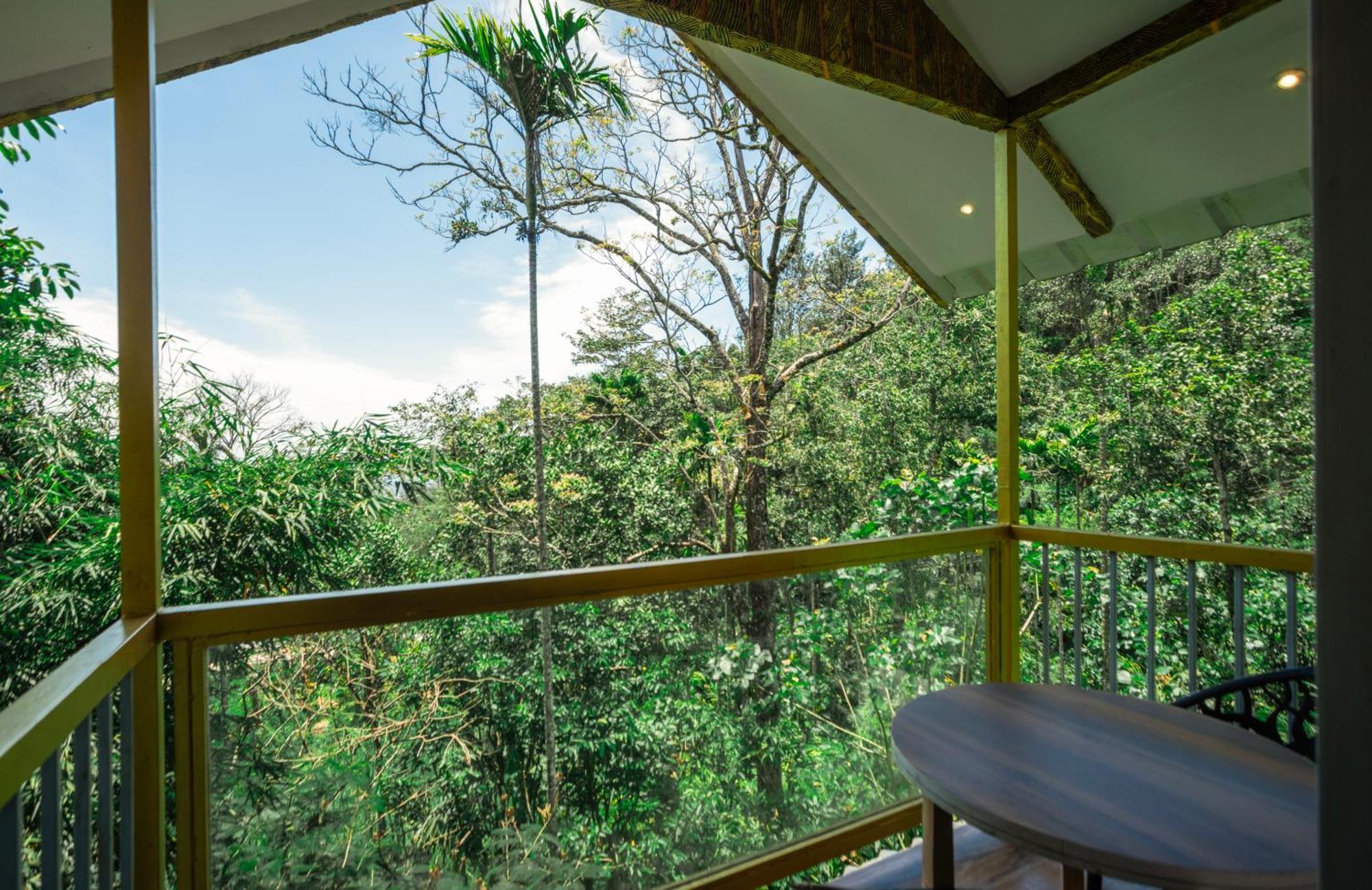 Tree House AC Complimentary Adventure Activities 100 Spread