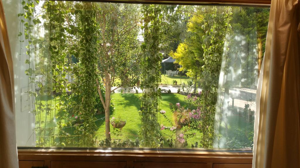 Suite Chambre Familiale