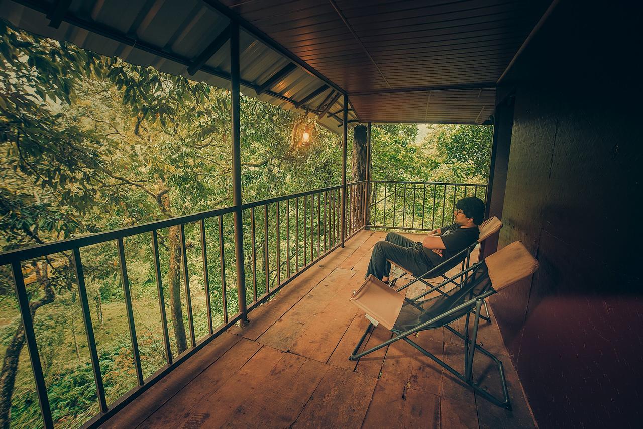 Tree House,647053149:JPEG