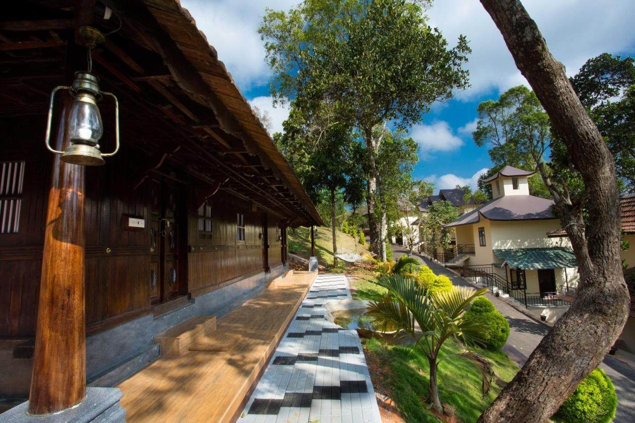 Studio with Garden View