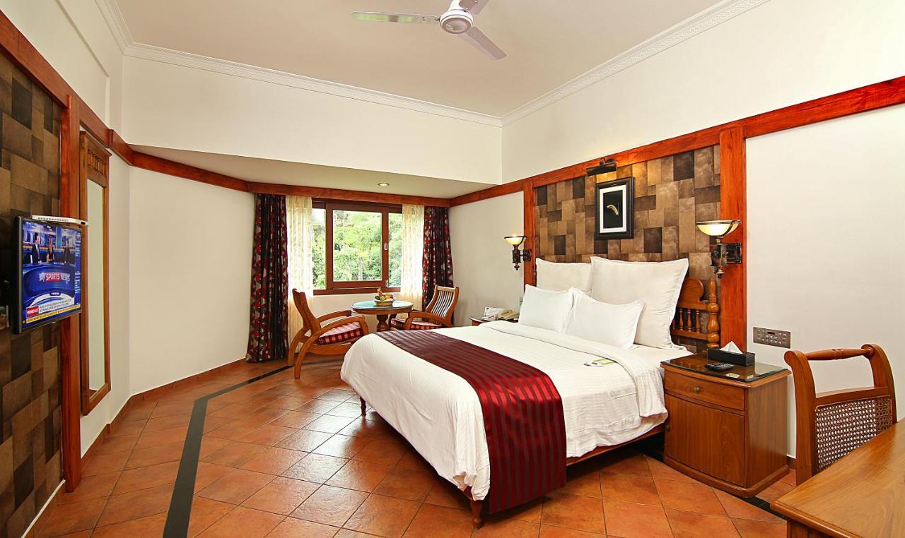 Deluxe Double or Twin Room,766785595:JPEG