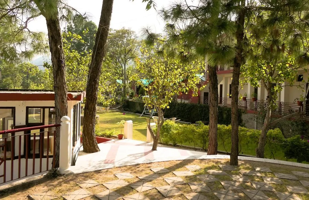 Kasauli Nature Inn-1