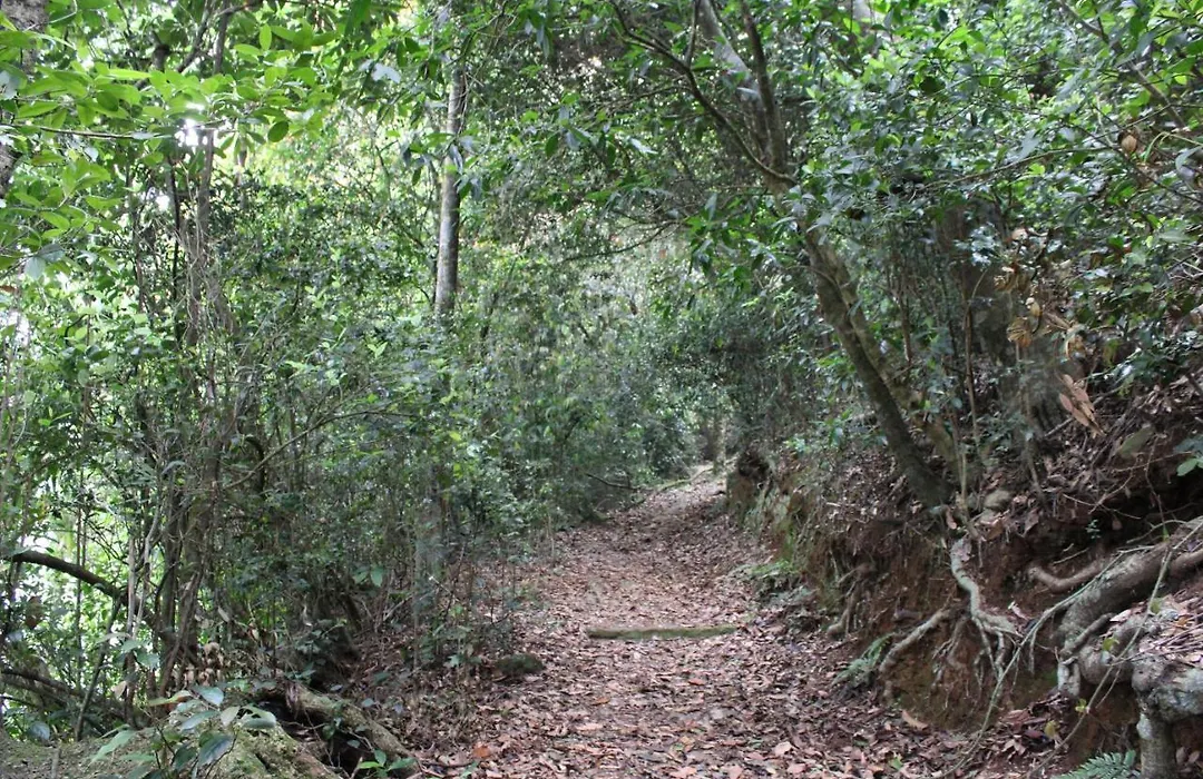 Hidden Heaven-1