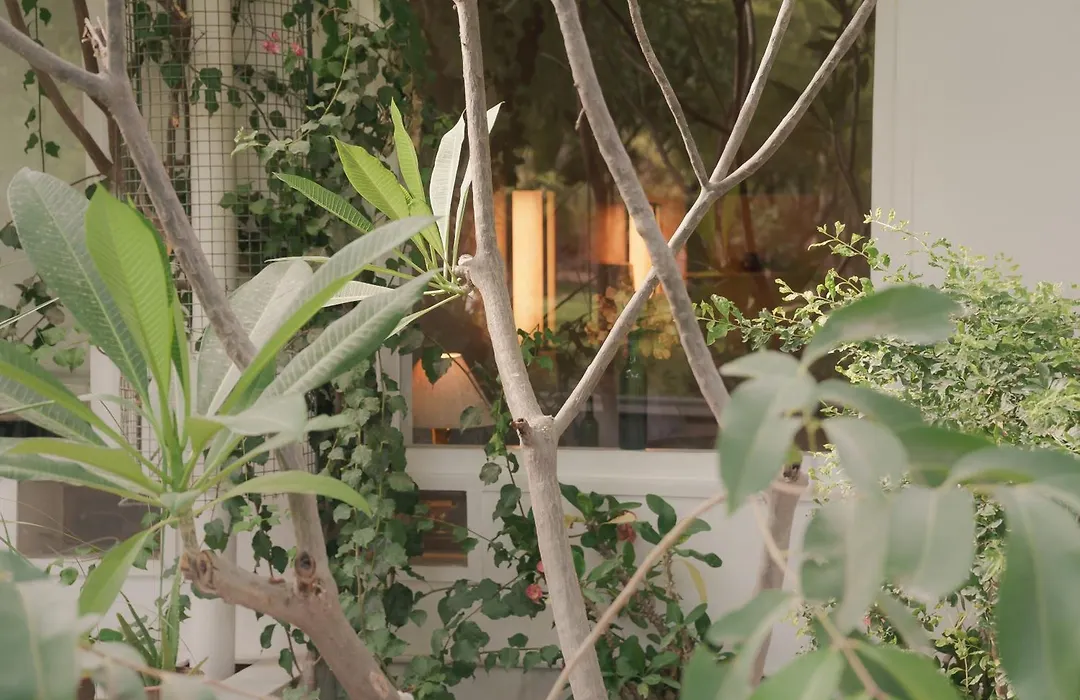 Pushkarorganic - Lux Farm Resort With Pool-1