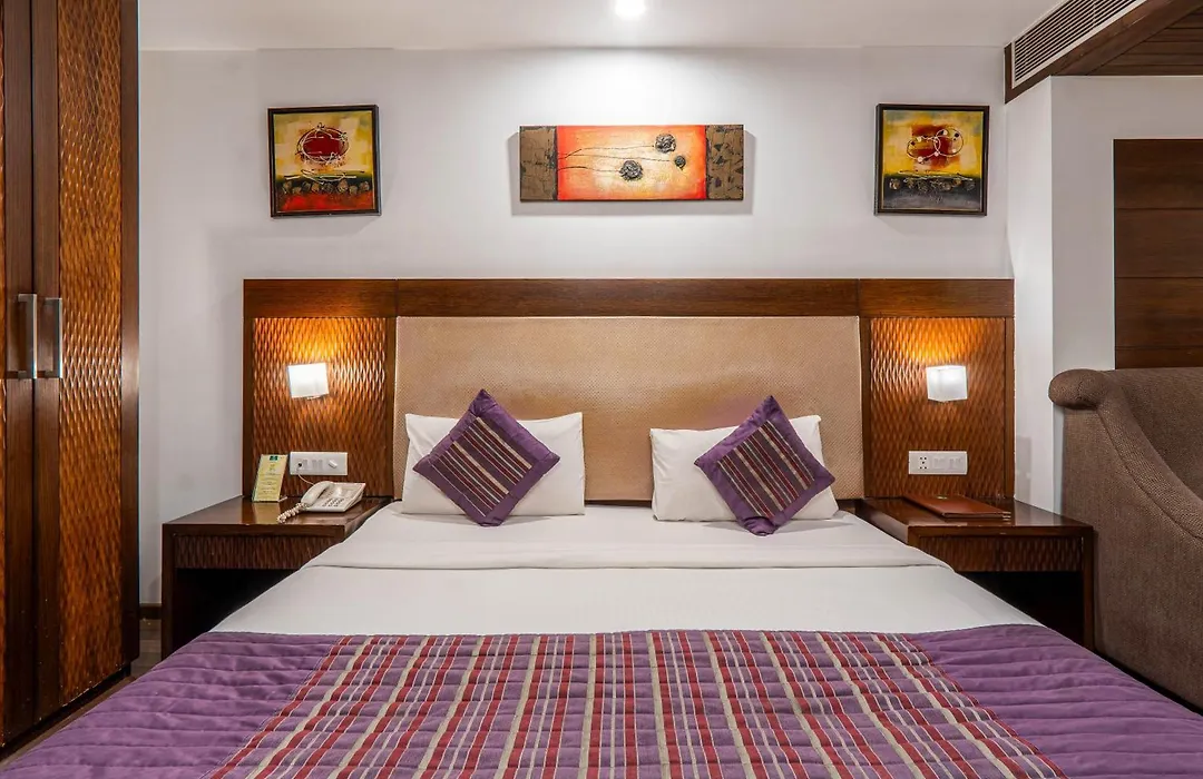 Hotel Le Roi Near New Delhi Railway Station-1