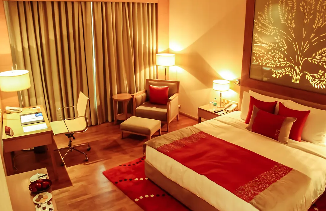Radisson Blu Hotel New Delhi Dwarka-1