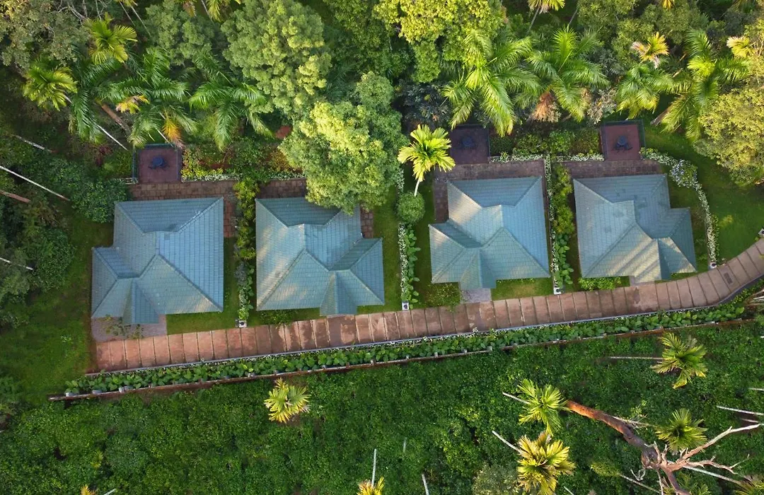 The Woods Resorts Wayanad-1