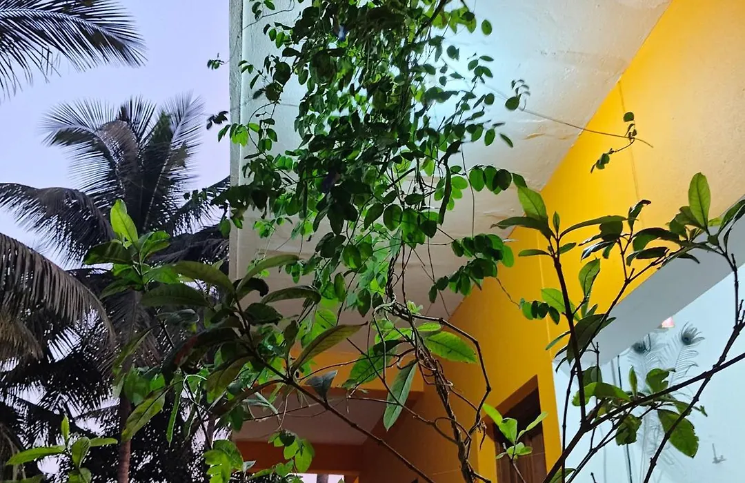 Krishna Guest House-1