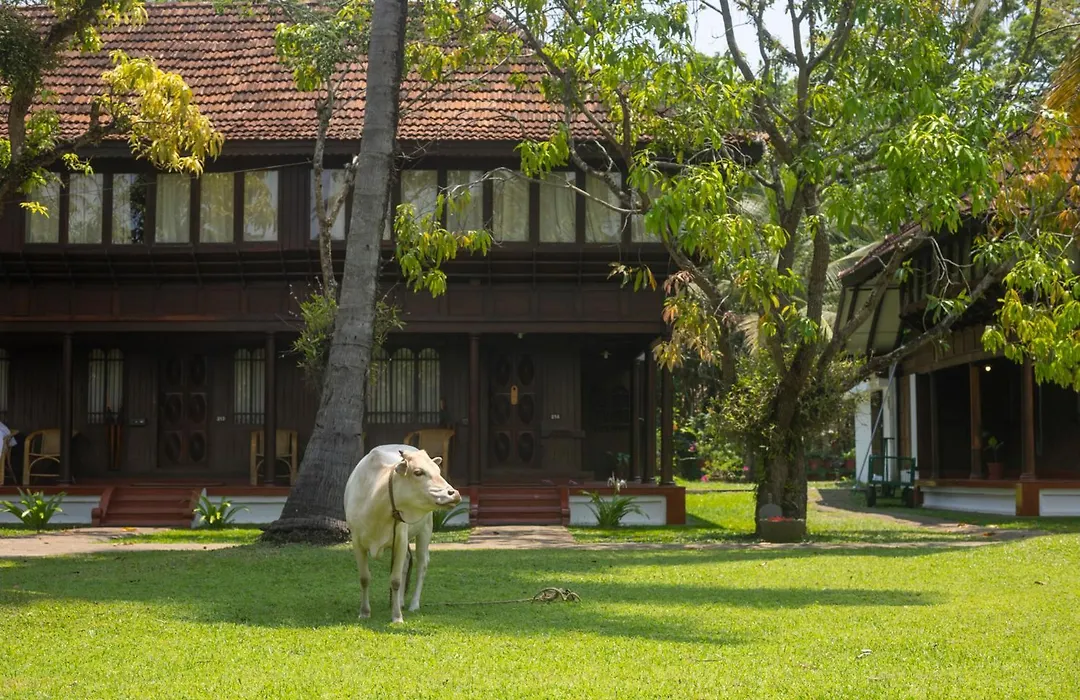 Coconut Lagoon Kumarakom - A Cgh Earth Experience-1