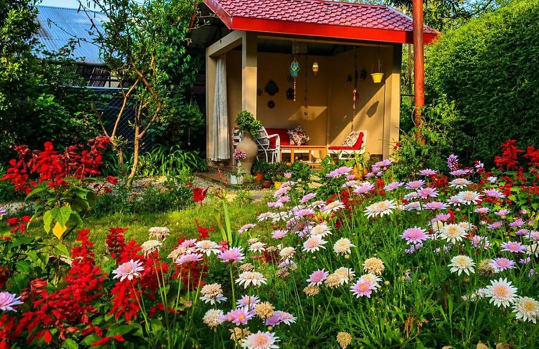 Shikher Guest House-1