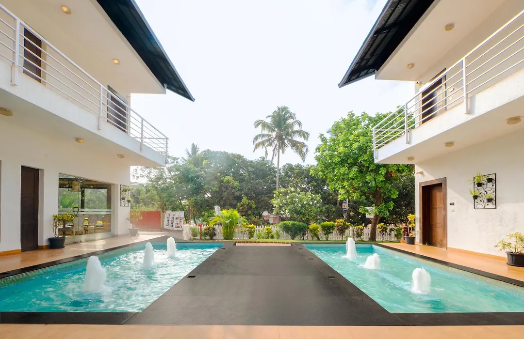 The Ivy Anjuna-1