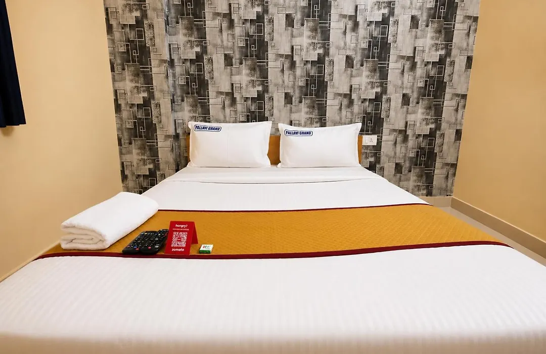 Hotel Pallavi Grand-1