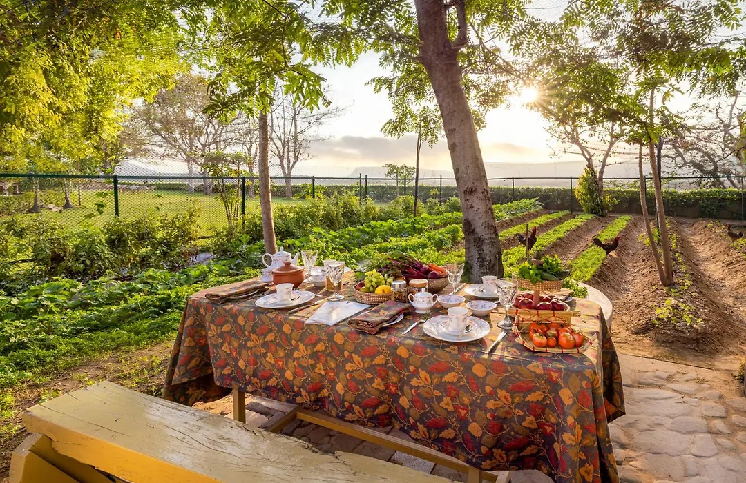 Ramgarh Lodge, Jaipur - Ihcl Seleqtions-1