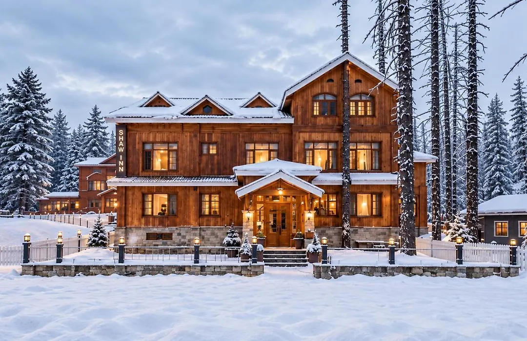 Shaw Inn By Stay Pattern-1