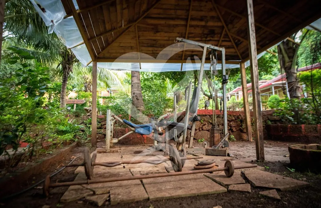 Zulu Land Cottages - Near Curlies Beach Shack And Shiva Valley - Anjuna Beach-1