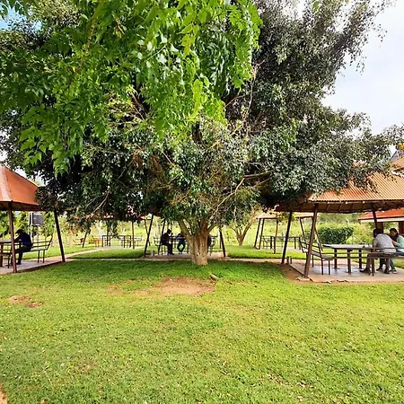 Avadale Masinagudi - Stag Groups Not Allowed-2