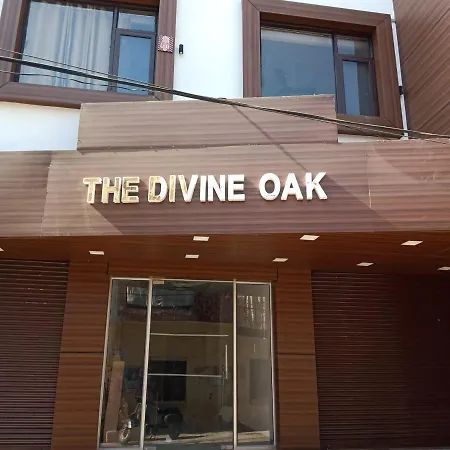 The Divine Oak-2