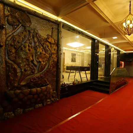 Mehar Inn Hotel-3
