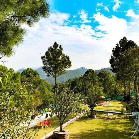 Kasauli Nature Inn-2