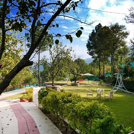 Kasauli Nature Inn-3