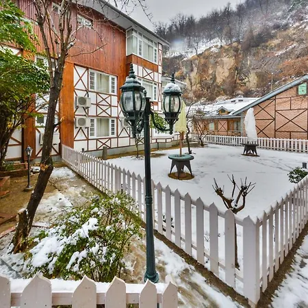 Hotel Metropolis Srinagar-3