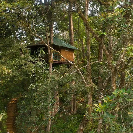 Ela Ecoland Nature Retreat-2