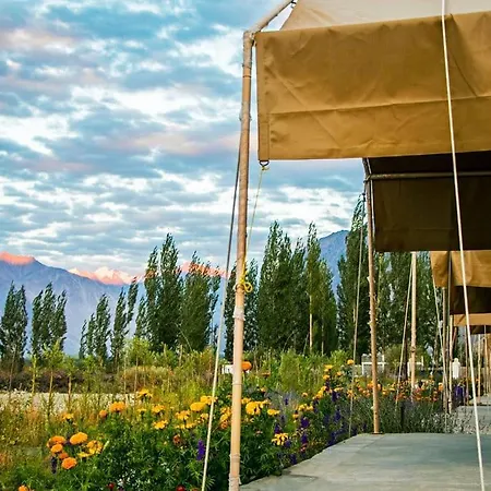 Highland Desert Camp-3