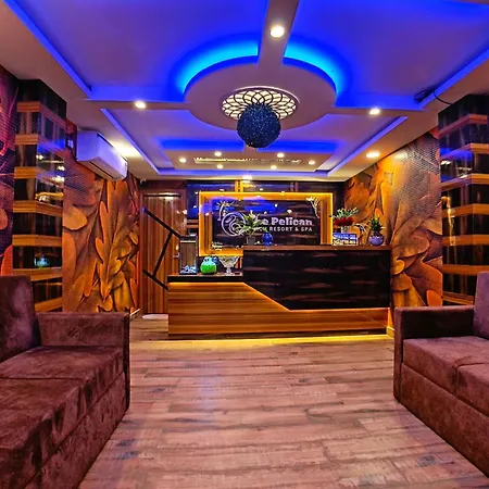 The Pelican Beach Resort-3
