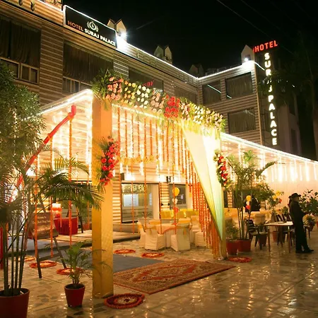 Hotel Suraj Palace-3