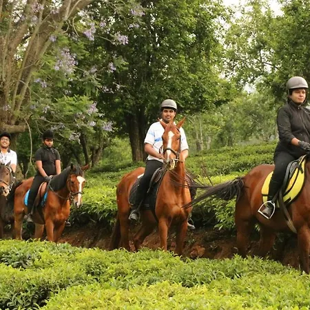 Willow Hill By Nature Resorts And Stays-3