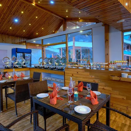 Treehouse Chail Villas-3