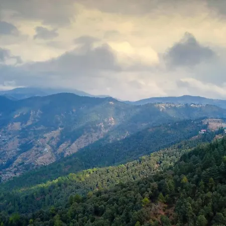 Treehouse Chail Villas-2