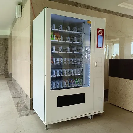 Hotel Millennium Plaza-2