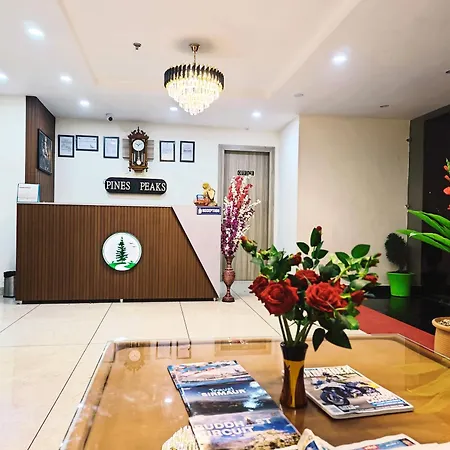 Hotel Pines And Peeks By Tws Hotels-2