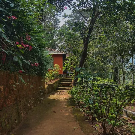 Jungle Valley Ayurvedic Spa Resort-2