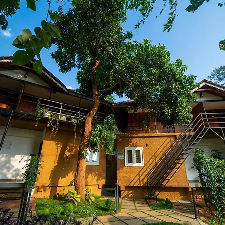 Mystery Maze Resort And Spa-3