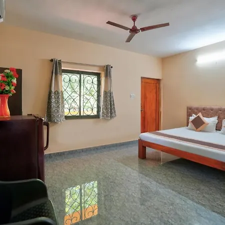 Golden Studio Apartment Goa-2