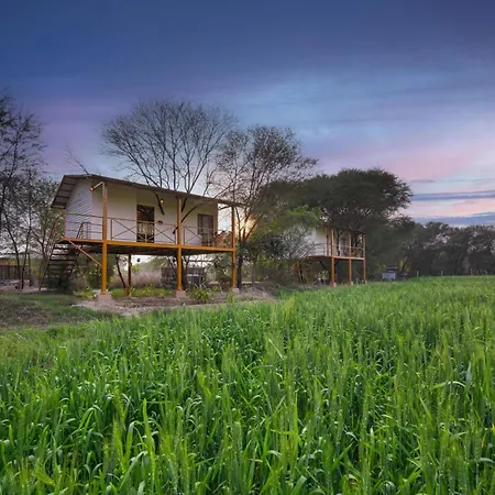 Bagh Serai By Alaya Stays-2