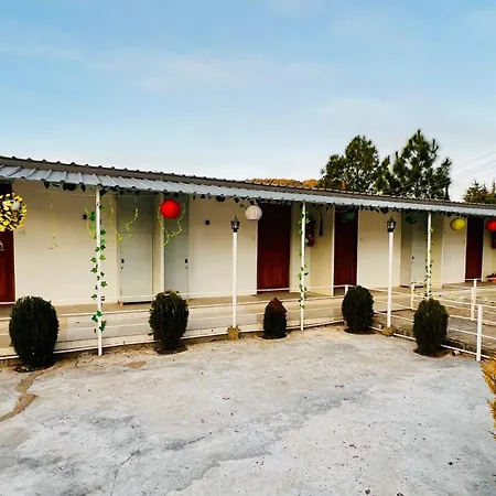 The Chail Heights Hotel And Resort-2
