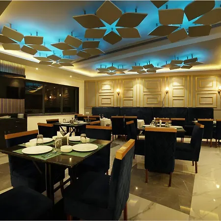 Treehouse London Street Amritsar-3