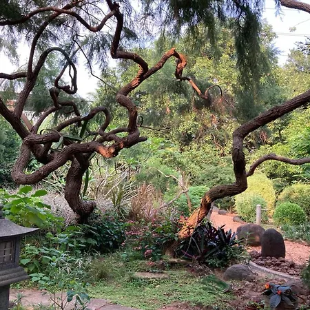 Gaia'S Garden Guest House-3