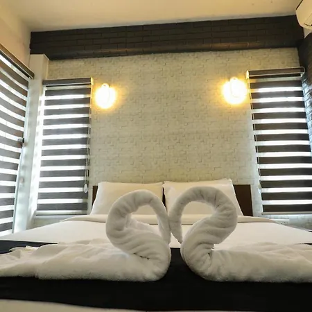 D-Green Hotels-2
