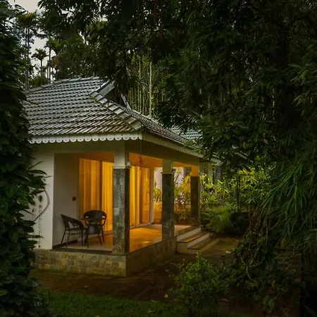 The Woods Resorts Wayanad-3