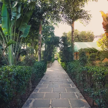 Saavaj Resort-2