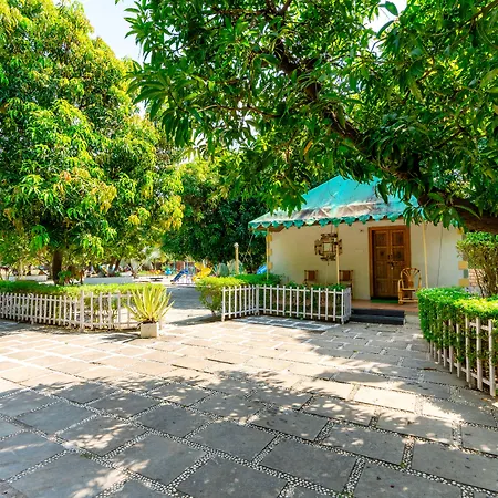 Saavaj Resort-3