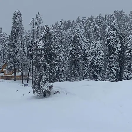 Gulmarg Ski Hill Resort-3